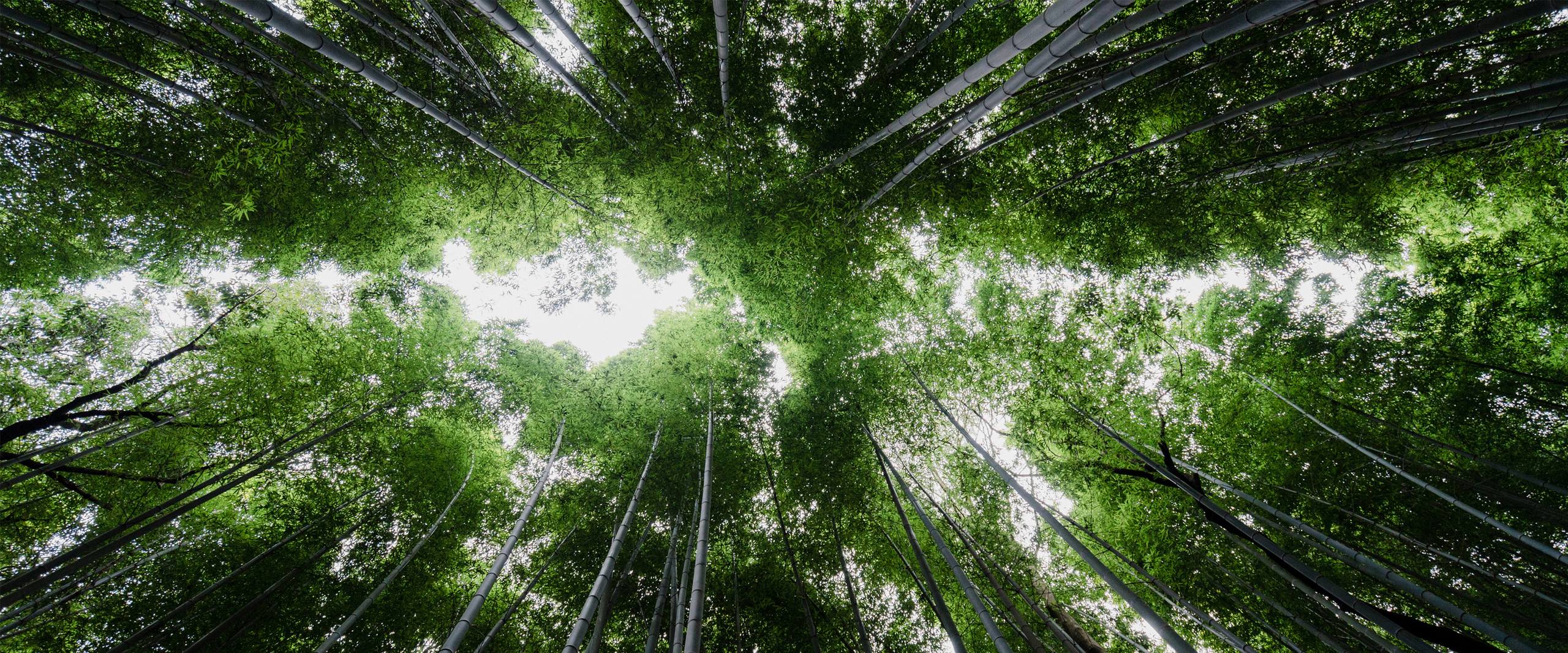 壮丽风景壁纸: 高原的雄伟与苍茫