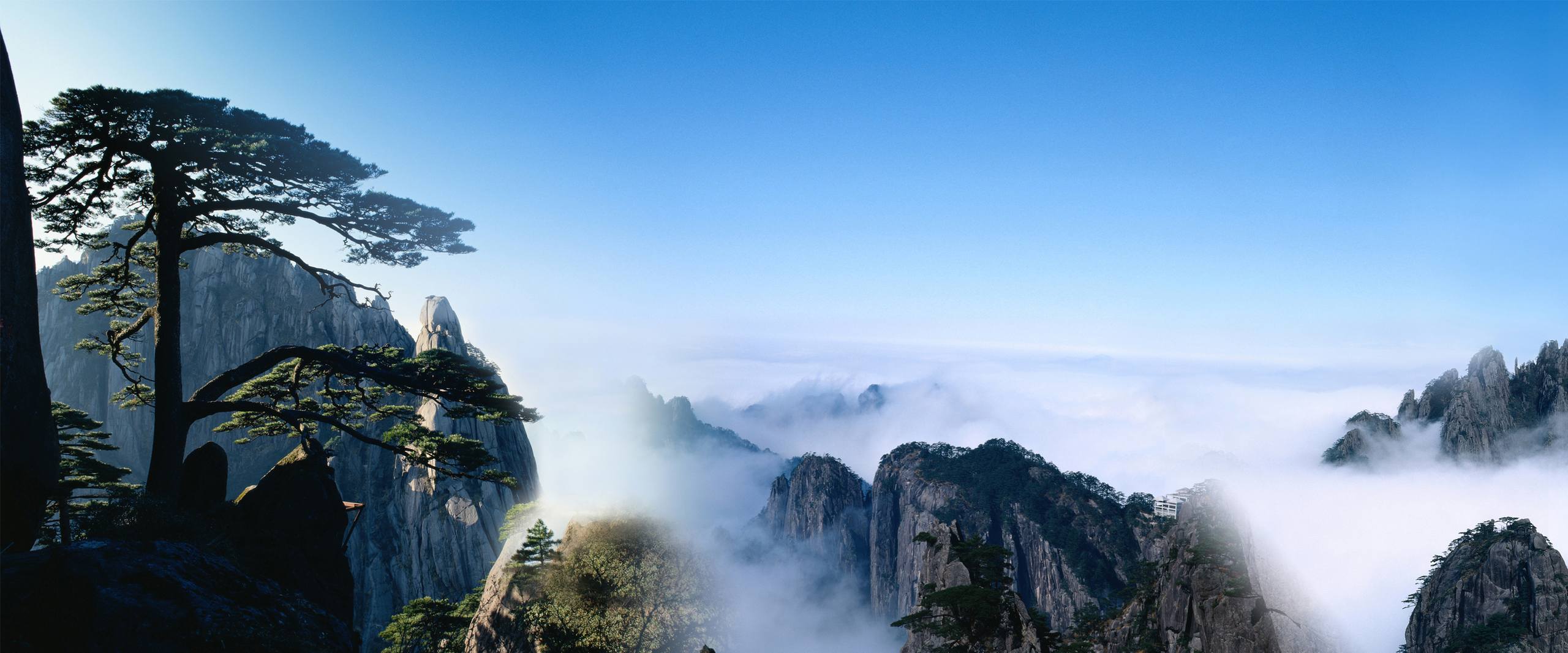 唯美风景壁纸: 水湾之梦，波光粼粼的诗篇