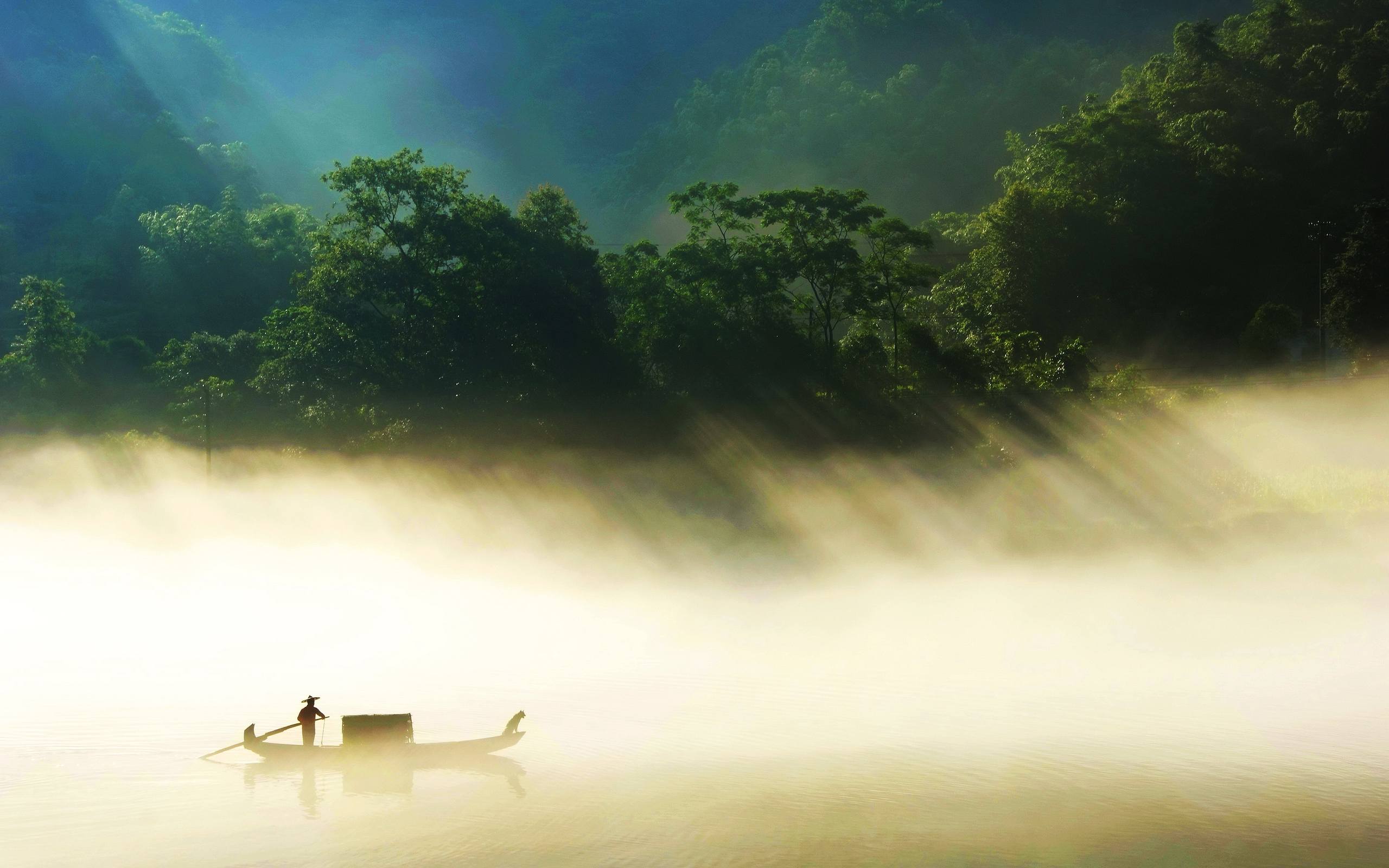 精选风景壁纸: 芦苇荡的秋日诗篇