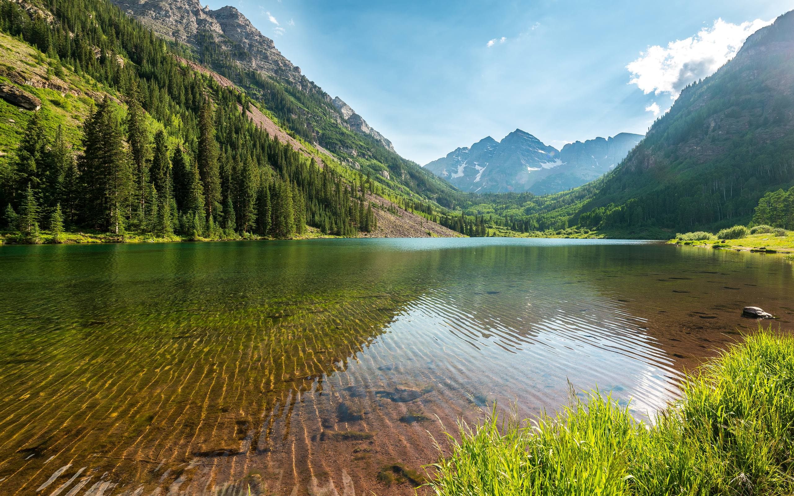 宁静风景壁纸：水草地的静谧之美