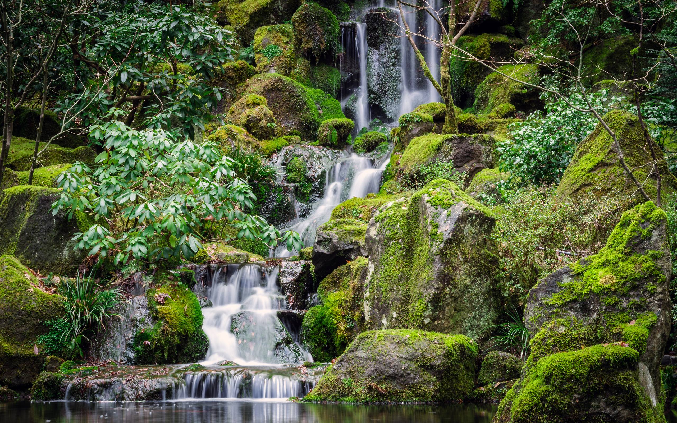 精选风景壁纸: 湿地住宅，自然的诗篇在每一帧