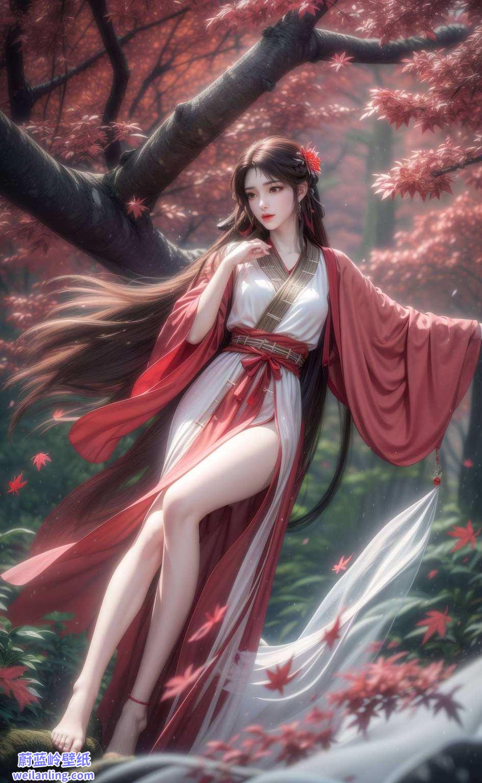 完美世界中映芳华翩若惊鸿
